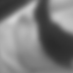 rencontre-Cougar-Grenoble