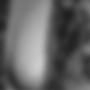 rencontre-Compiègne